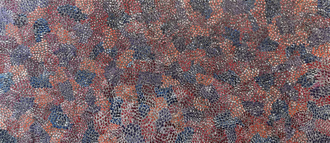 Eileen Bird Kngwarreye 'Arlatyeye (Pencil Yam) Dreaming' painting 80x183cm Multi