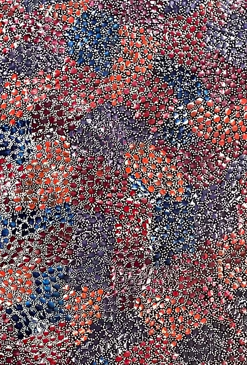 Eileen Bird Kngwarreye 'Arlatyeye (Pencil Yam) Dreaming' painting 80x183cm Multi