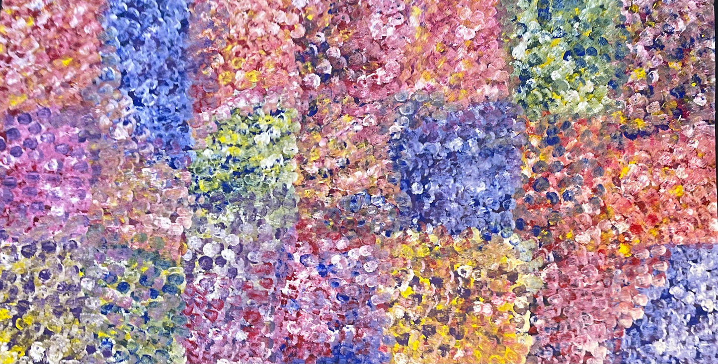 A 110x200cm painting representing the 'Bush Plum Dreaming' artwork by Polly Ngale.