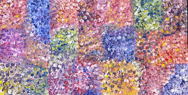 Polly Ngale Bush Plum (Arnwekety) Dreaming painting 110x200cm Multicoloured