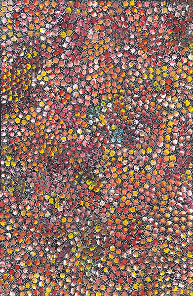 Eileen Bird Kngwarreye 'Arlatyeye (Pencil Yam) Dreaming' painting 90x60cm Multi