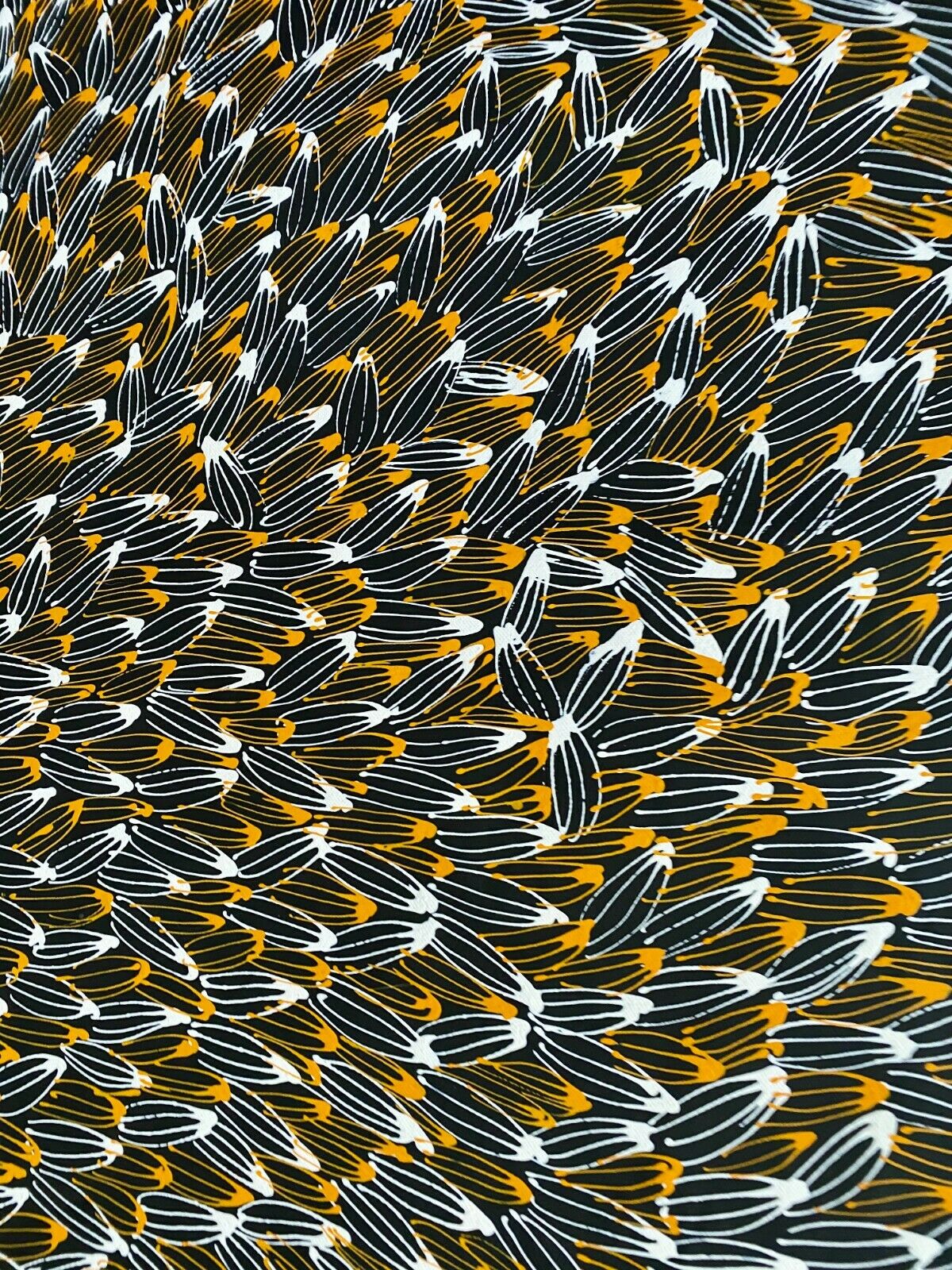 Abie Loy Kemarre 'Bush Medicine Leaf' painting Orange, Black and White 95x150cm