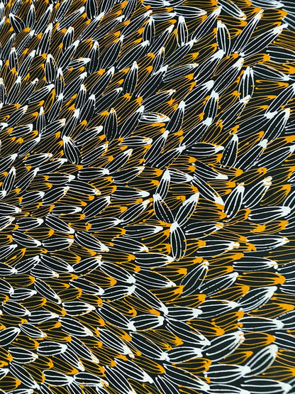 Abie Loy Kemarre 'Bush Medicine Leaf' painting Orange, Black and White 95x150cm