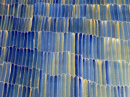 Jeannie Mills Pwerle