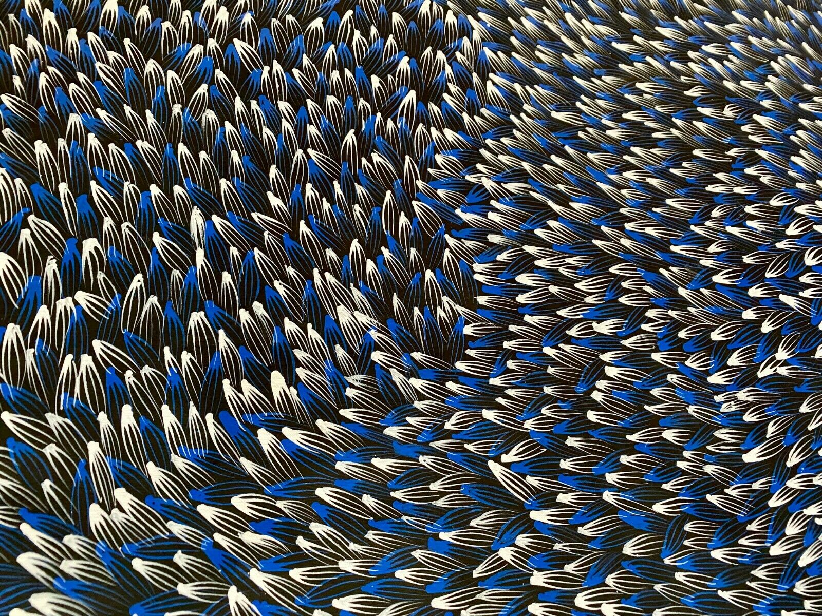 Abie Loy Kemarre Bush Medicine Leaf painting Blue, Black and White, 110x200cm