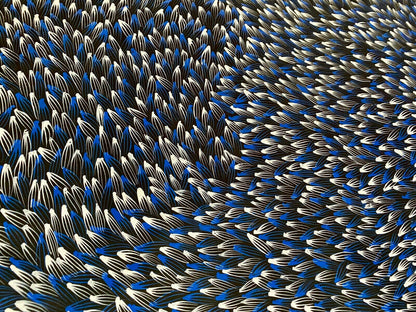 Abie Loy Kemarre Bush Medicine Leaf painting Blue, Black and White, 110x200cm