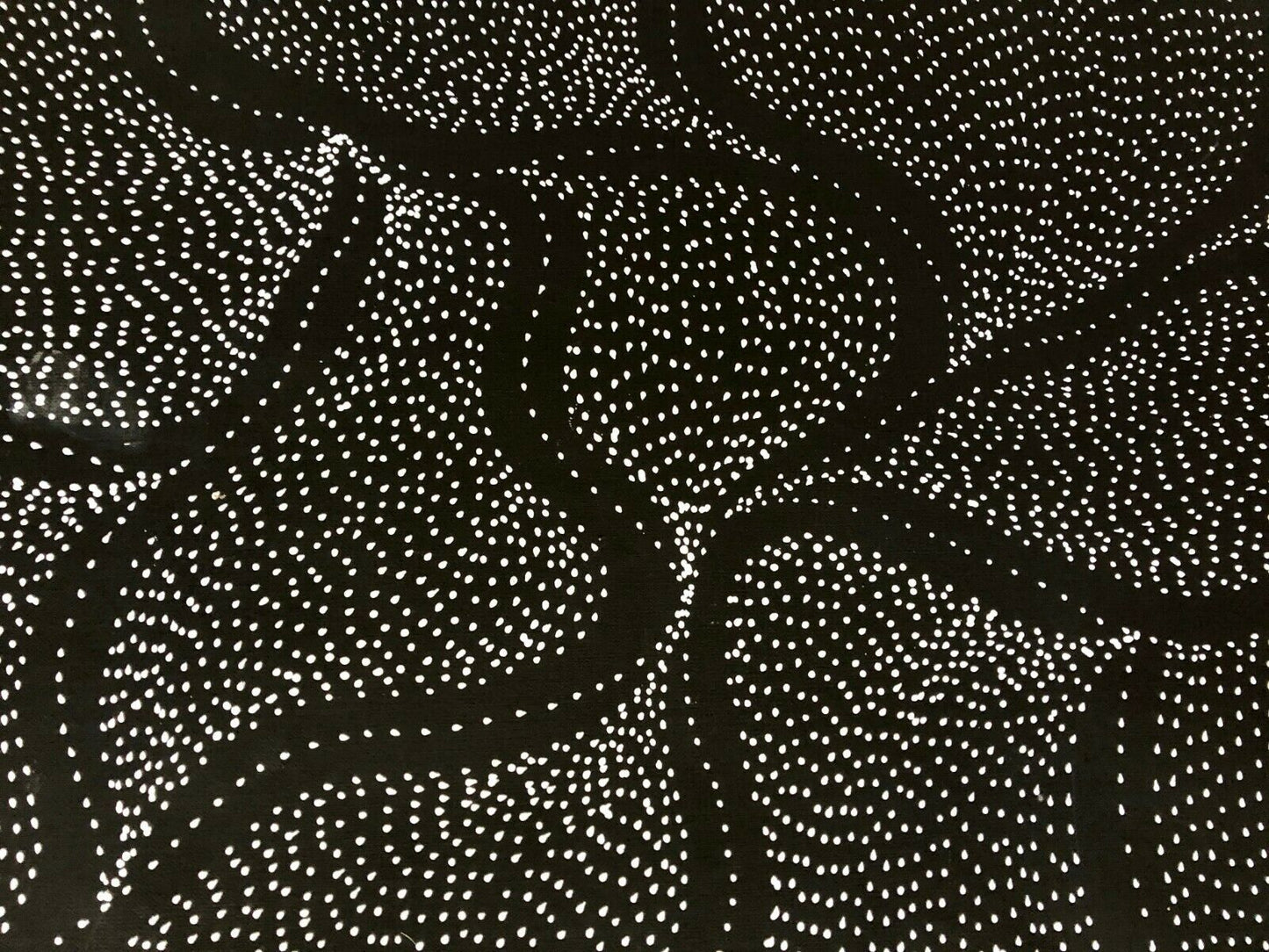 Freda Price Pitjara 'My Country' painting 102x44cm