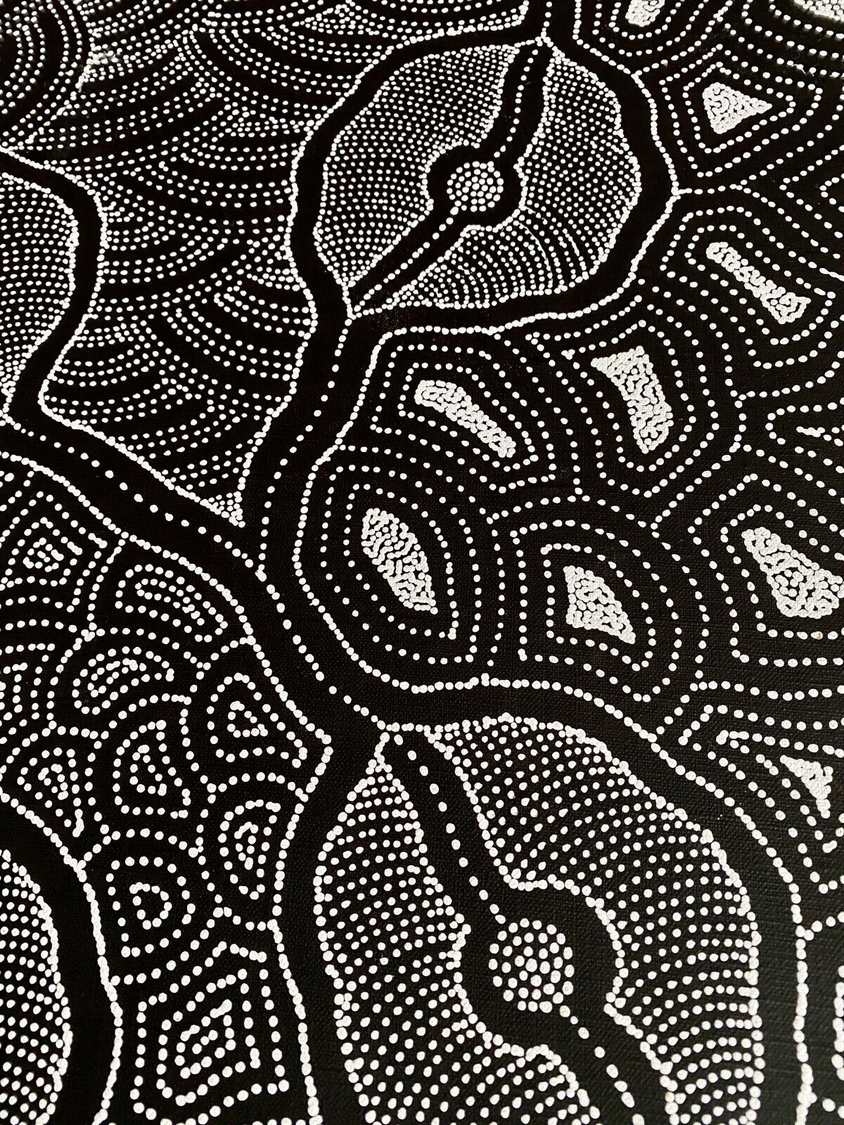 Delvine Pitjara 'My Country' painting 101x44cm White Black